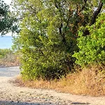 Bagheera Village Naturiste