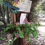 Bagheera Village Naturiste Campsite Linguizzetta
