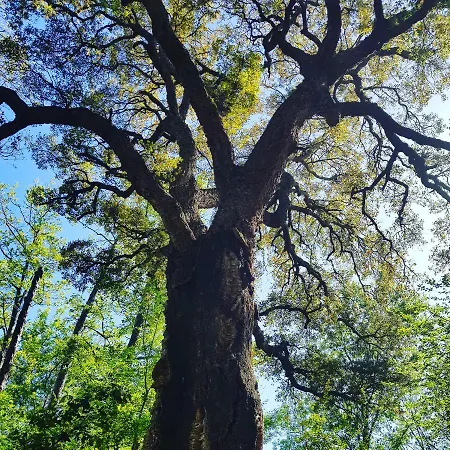 Bagheera Village Naturiste Linguizzetta