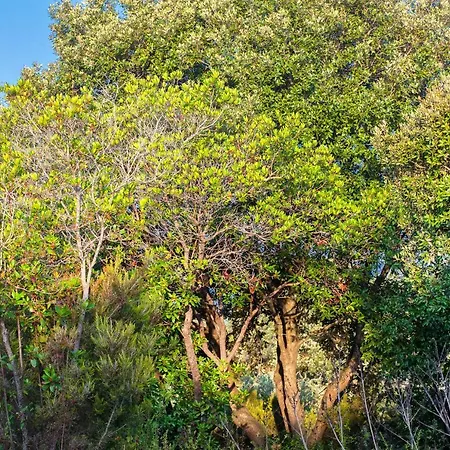 Bagheera Village Naturiste אתר קמפינג 4*