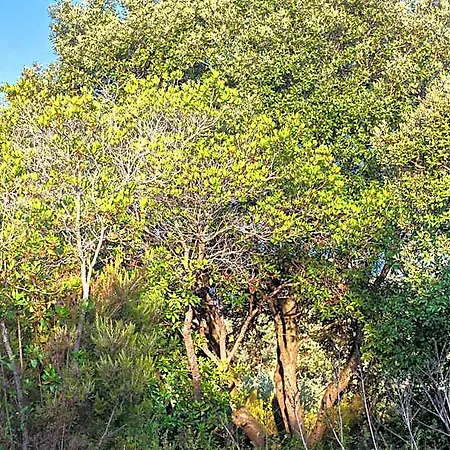 Bagheera Village Naturiste