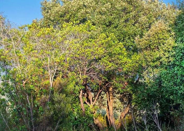 Bagheera Village Naturiste Camping 4*