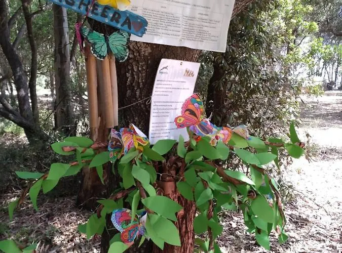 Bagheera Village Naturiste Kemping Linguizzetta